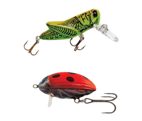 ESCHE TERRESTRI  - Shimano - RAPALA