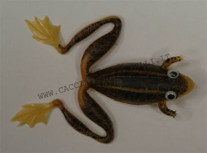 RANA FROG 7CM TIGRATA