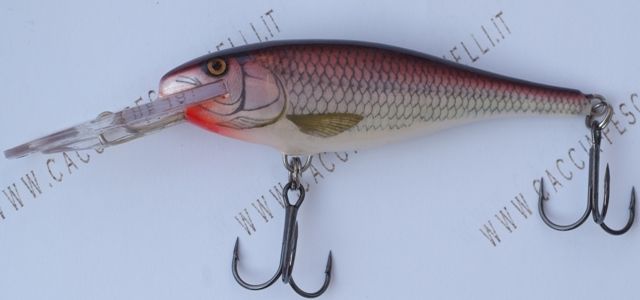 rapala Shad Rap 5 hbsh