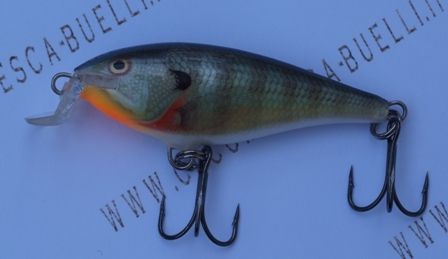 Shallow Shad Rap 7 BG