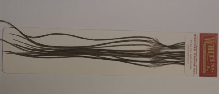 WHITING FARM HACKLES - SIZE18 - WHITE DYED OLIVE