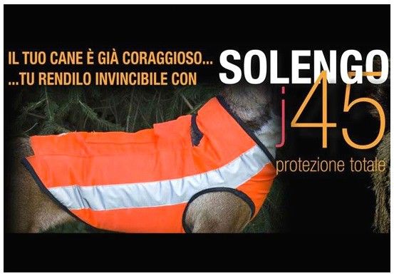 solengo protezione per cani da caccia