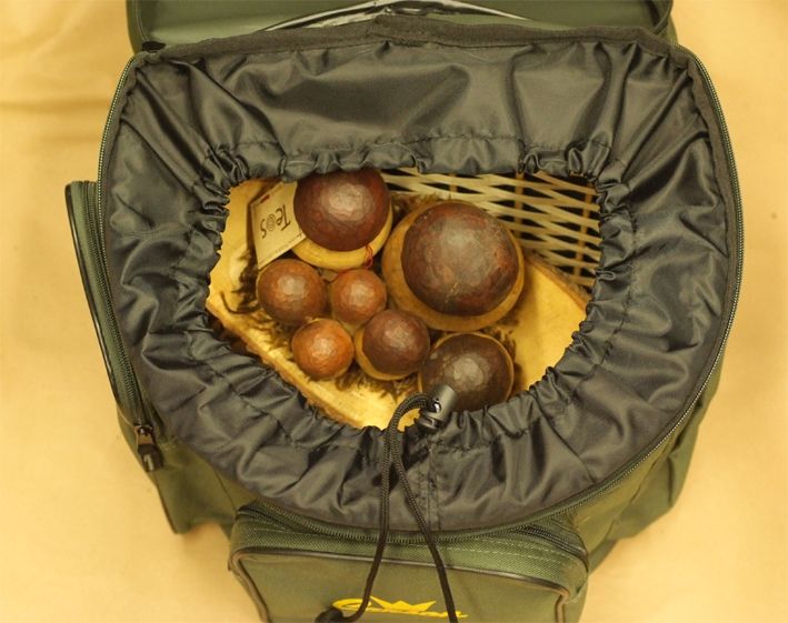 CARSON ZAINO FUNGHI MODELLO N.5 buellistore
