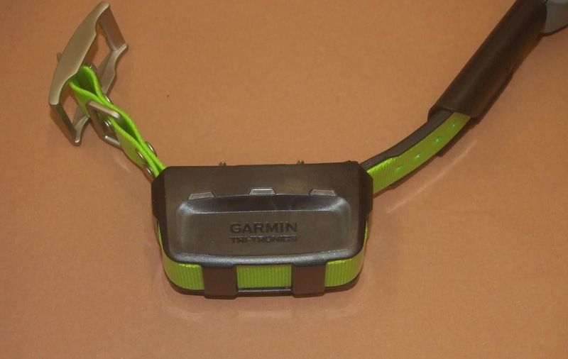 COLLARE GARMIN ATEMOS KT15x CON ADDESTRAMENTO