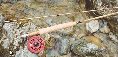 GATTI FRB 76FT BAMBOO