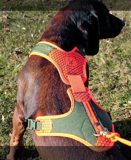 RISERVA CORPETTO PER CANI DA TRACCIA