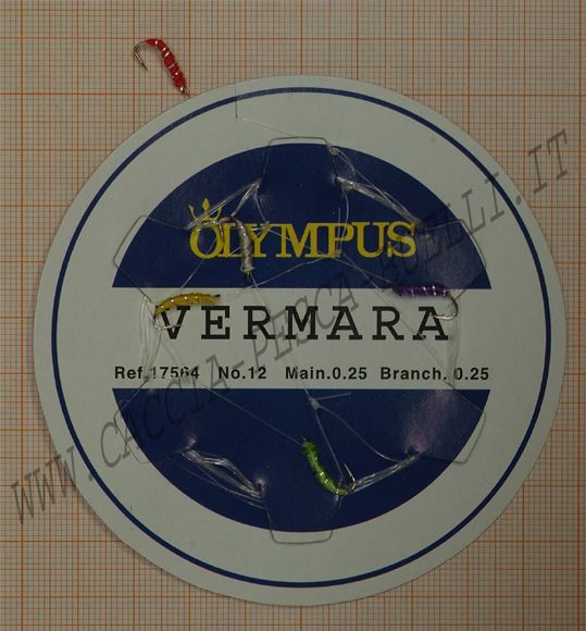 OLYMPUS  VERMARA AMO N.12 VARI COLORI