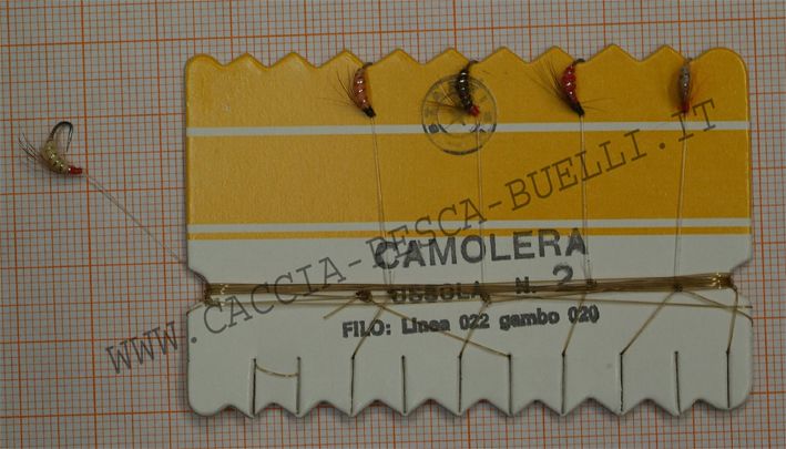 OSSOLA CAMOLERA N.2 GAMBO 020