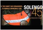 CANICOM GILET ANTIZANNA SOLENGO J45 - TG:L
