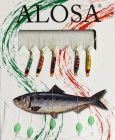 MONTATURA A 5 AMI FILETTATA CON DIVERSE MISURE DI AMO E DISTANZA TRA GLI AMI 
