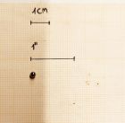 RICAMBIO DIANA LP8 NR.67 SFERA BLOCCO ALZO