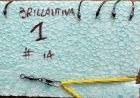 MONTATURA 10 AMI DEL 14 - BRILLANTINATA N. 1 - NERO, VIOLA, MARRONE E VIOLETTO