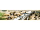 ST.CROIX AVID SERIES SPINNING