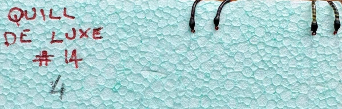 MONTATURA 10 AMI DEL 14 - COLORI VIOLA, NATURALE, RUSTY BROWN E ORANGE