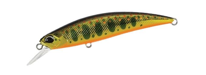 DUO INTERNATIONAL | SPEARHEAD RYUKI 60S- GOLD YAMAME