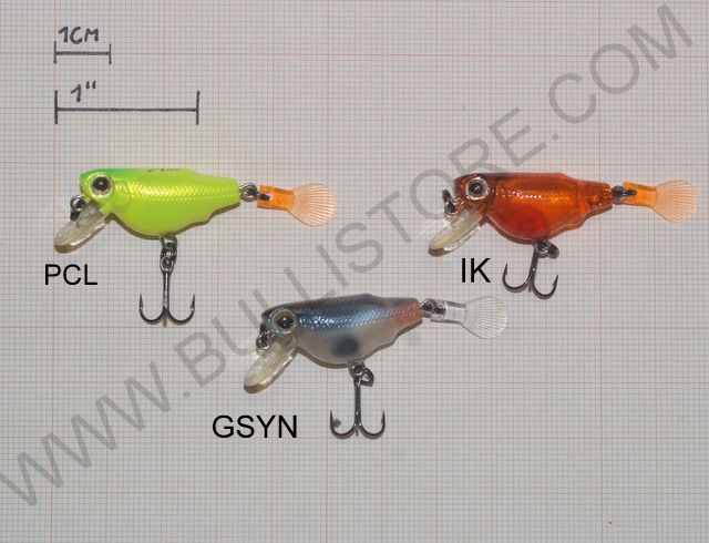 DUEL AILE KILLIFISH