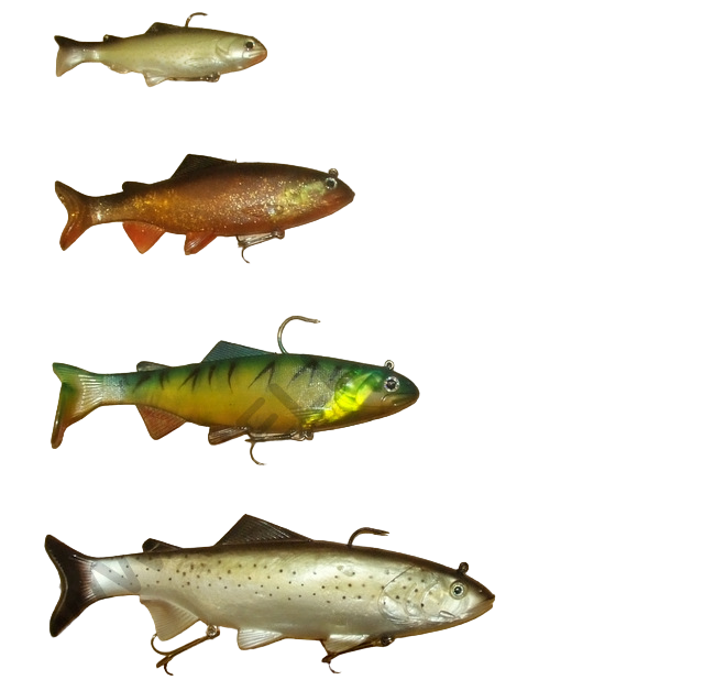 STONE-B SHARK DISPONIBILE IN 4 COLORAZIONE E MISURE