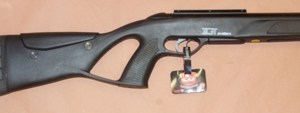 GAMO CARABINA CFR IGT F