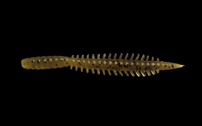 LARVA MOLIX 