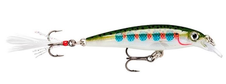 RAPALA XR 10 RT