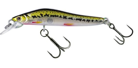 MOLIX JUBARINO #177 VAIRON