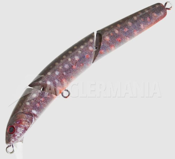 VALKEIN - HYDRAM S 100 - C246 NIKKO IWANA