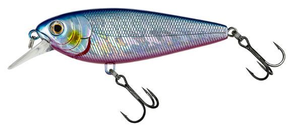 MOLIX BRUGAS R #249 SPRING SARDA 