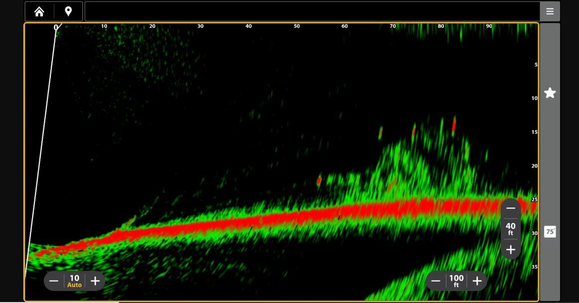 TRASDUTTORE MEGA LIVE 2 HUMMINBIRD