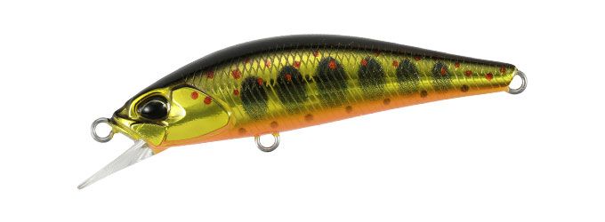 DUO SPEARHEAD RYUKI 50 S - GOLD YAMAME