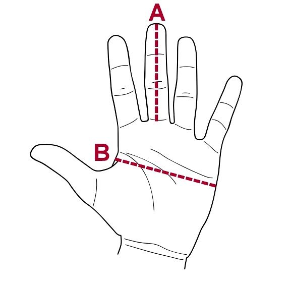 PINEWOOD RETRIEVER GLOVES