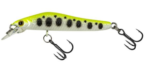 MOLIX JUBARINO #655 CHART BLACK PAR