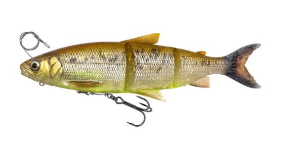 3D LINE THRU WHITEFISH 27 CM - 217 G - BROWN CHARTREUSE