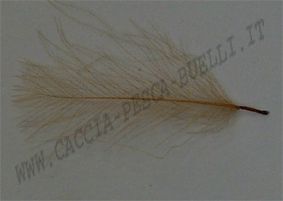 DEVAUX CUL DE CANARD - TABAC