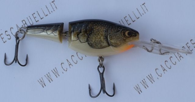 Jointed Shad Rap 5 CW