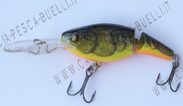 Jointed Shad Rap 4 FCW