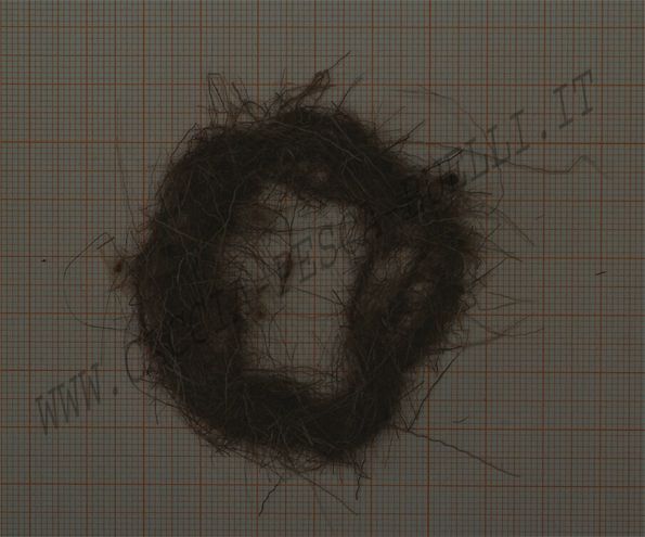 PALU' DUBBING FINE 3-I/16-14