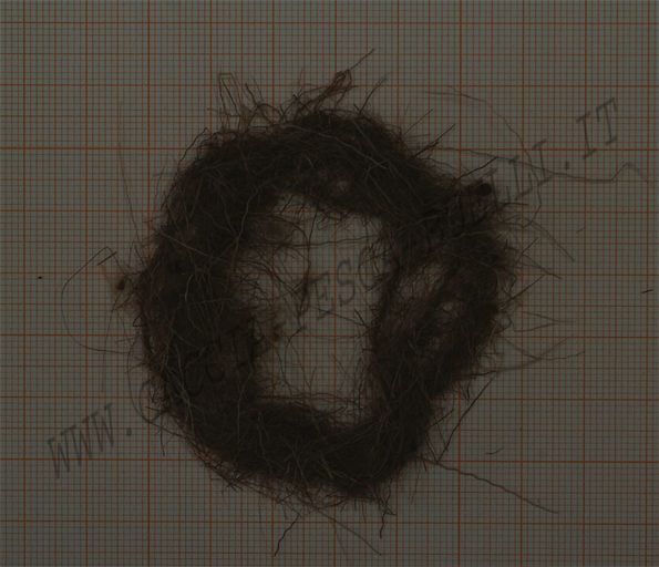 PALU' DUBBING FINE 3-II/12-8