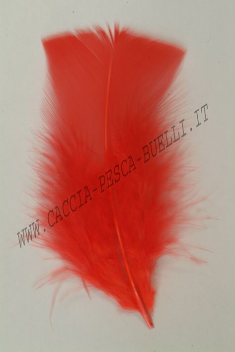 SEVERO E MARI IBIS ROSSO