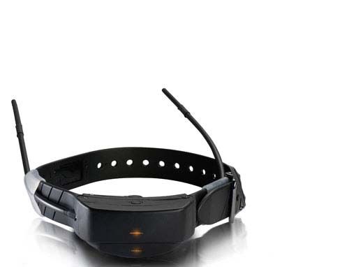 SPORTDOG TEK 1.0 COLLARE AGGIUNTIVO GPS ADDESTRAMENTO - SD12