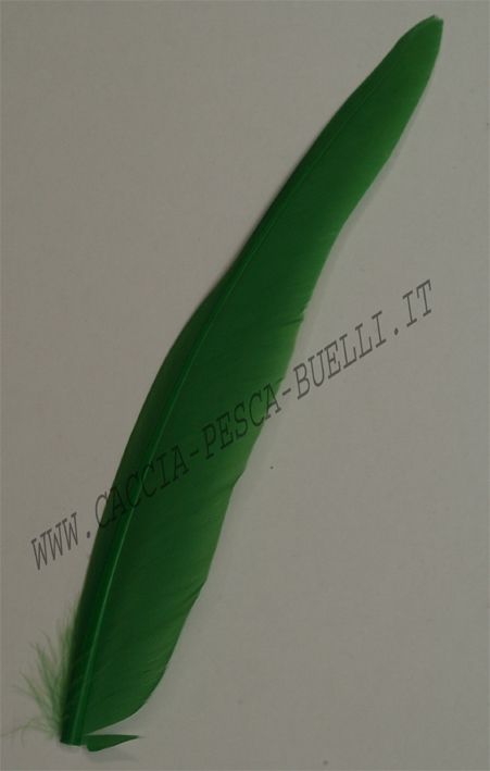 VENIARD ANATRA VERDE