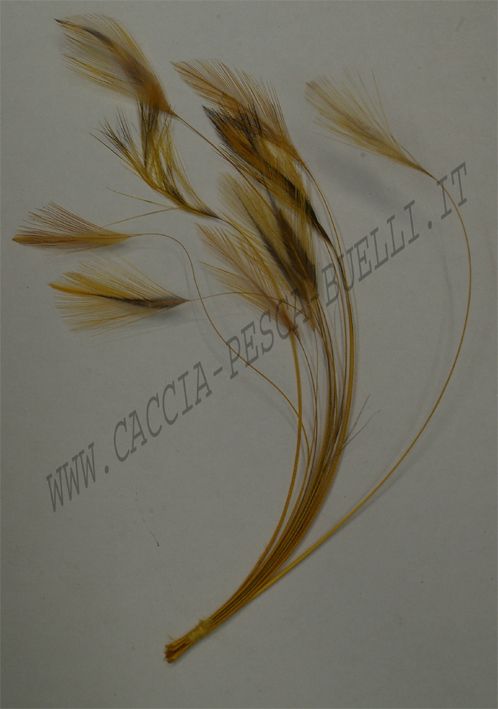 VENIARD CODA + BODY GIALLO