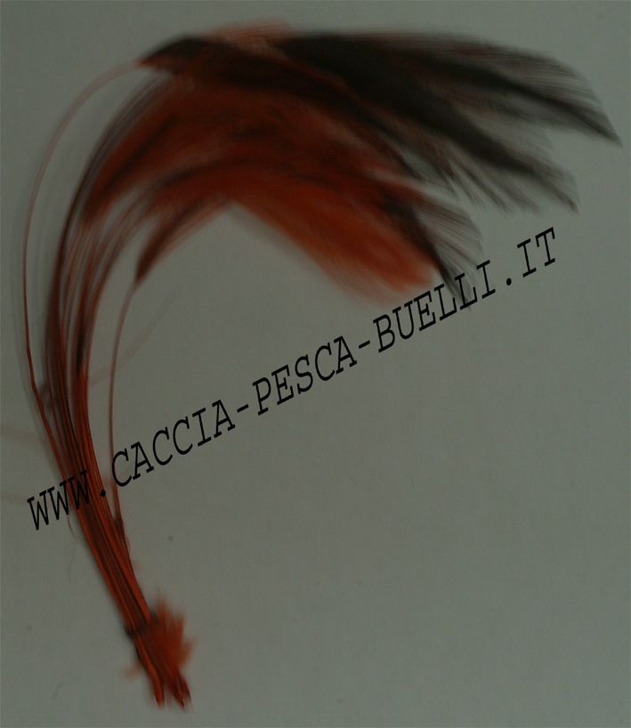 VENIARD CODA + BODY ORANGE