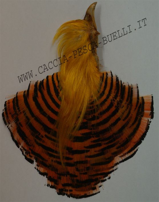 VENIARD FAGIANO DORATO ORANGE