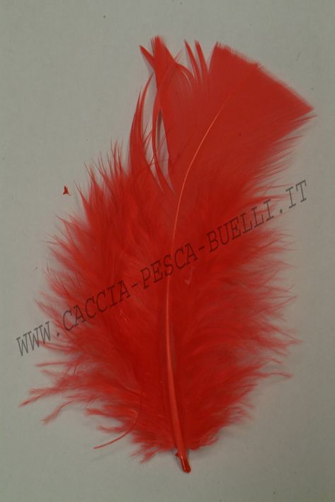 VENIARD IBIS ROSSO