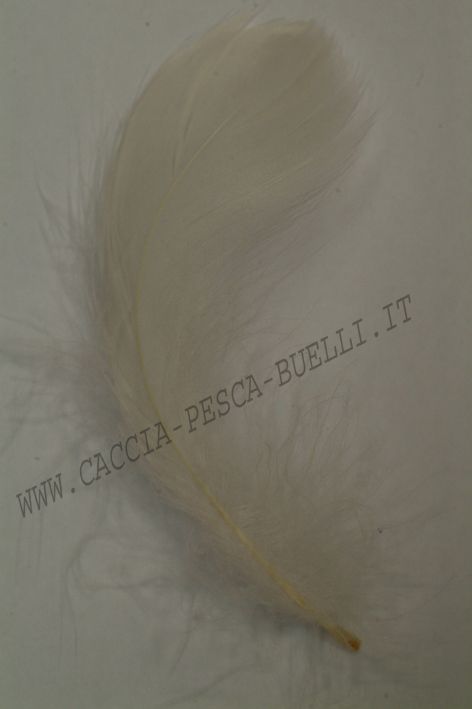 VENIARD IBIS BIANCO