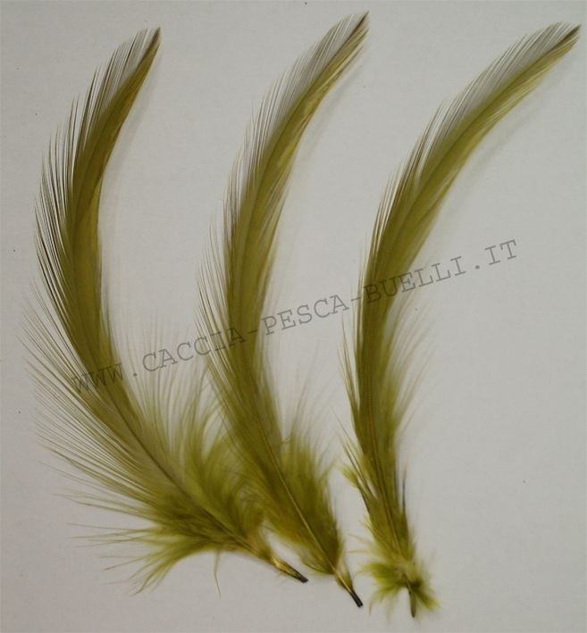 VENIARD PIUME GALLO OLIVE