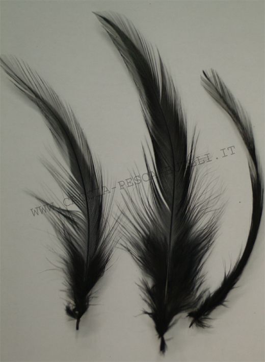 VENIARD PIUME GALLO BLACK