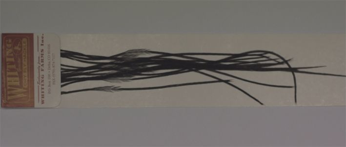 WHITING FARM HACKLES - SIZE18 - BLACK