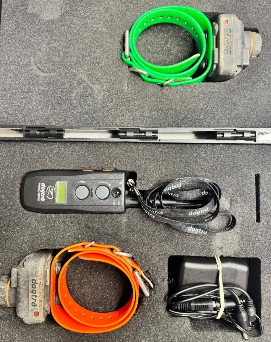 DOGTRACE USATO SET DA 2 DOGTRA RB1200