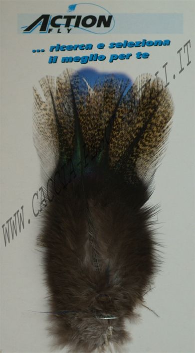 ACTION FLY GALLO DI LEON ACONCHADO CORZUNO